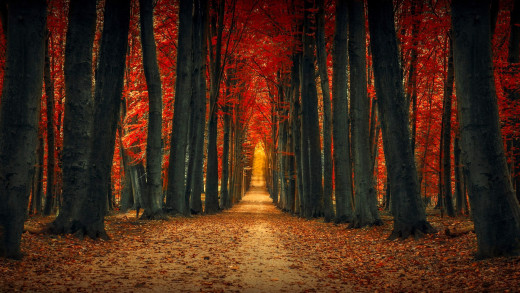 �1755187 �������(a): ����������:1920x1080